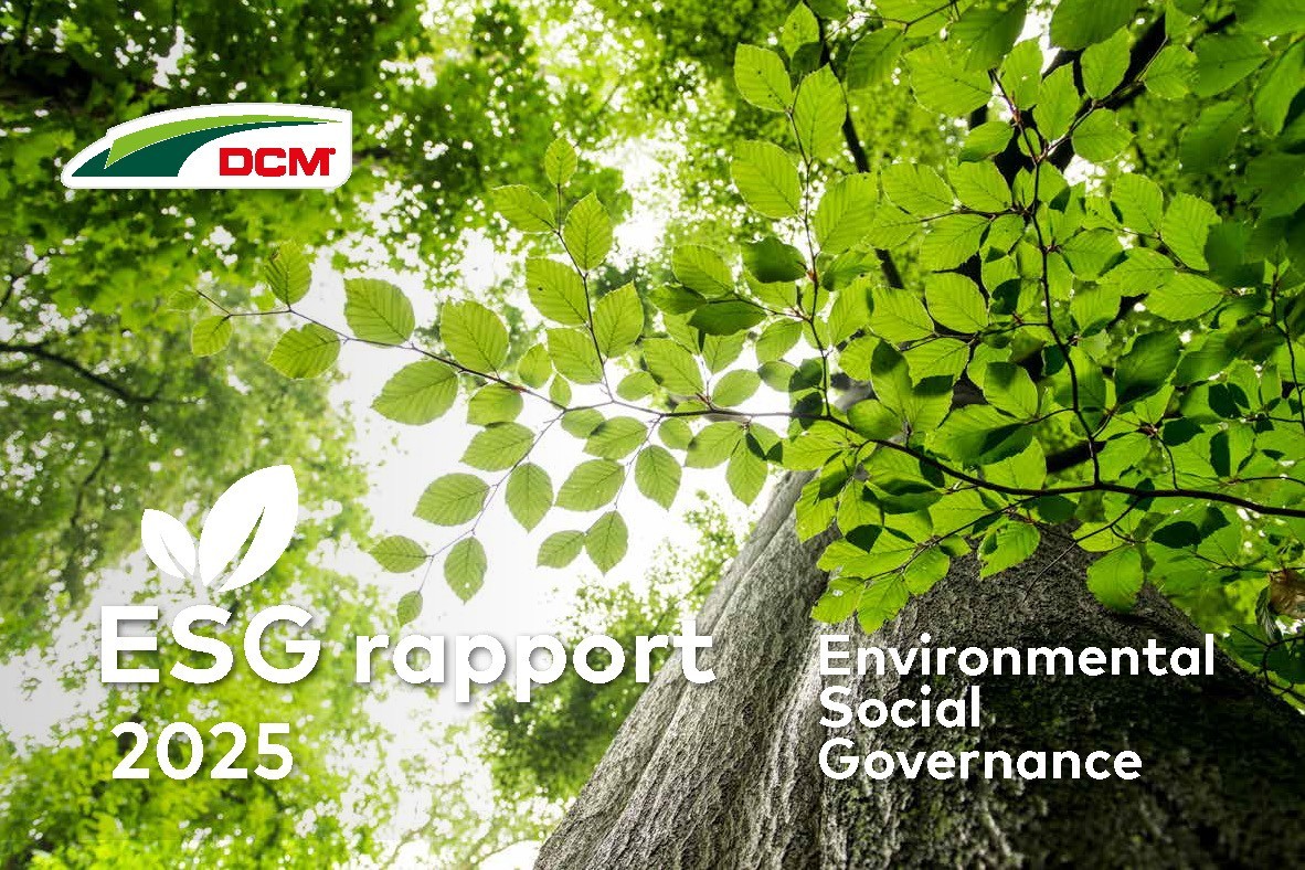 DCM 2025